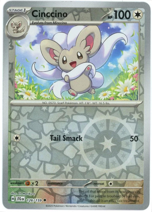 Cinccino