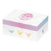 Pokemon Blooming Legends 'Eevee & Friends' Gift Box (Simplified Chinese) - EternaCards