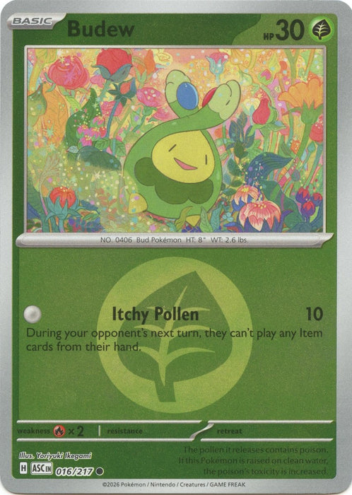 Pokemon Budew - 016/217 (Energy Symbol Pattern) 016/217 ME: Ascended Heroes Reverse Holo - Eterna Cards
