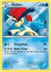 Pokemon Keldeo (47) 47/149 Boundaries Crossed Holo