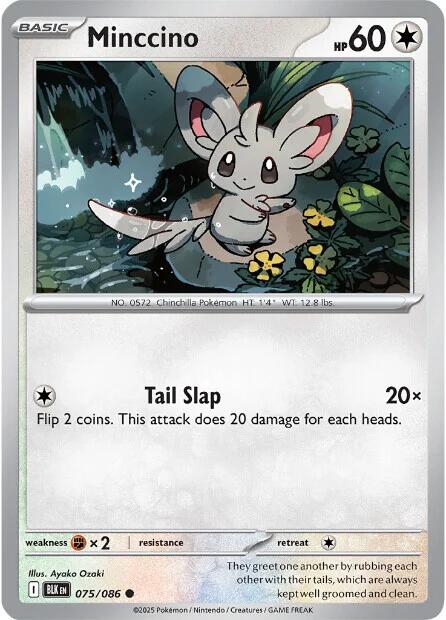 Pokemon Minccino 075/086 SV: Black Bolt Normal - EternaCards