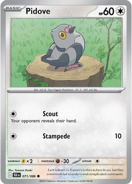 Pokemon Pidove 071/086 SV: Black Bolt Reverse Holo - EternaCards
