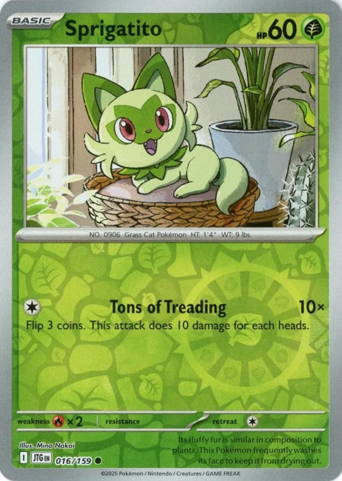 Pokemon Sprigatito 016/159 SV09: Journey Together Normal - Eterna Cards