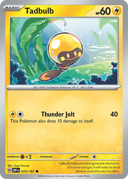 Pokemon Tadbulb 075/197 075/197 SV03: Obsidian Flames Reverse Holo - EternaCards