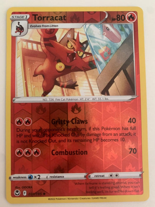 Pokemon Torracat 031/195 SWSH12: Silver Tempest Normal - Eterna Cards