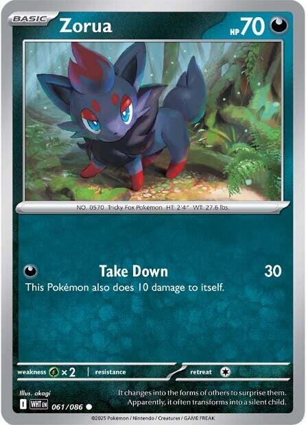 Pokemon Zorua 061/086 SV: White Flare Reverse Holo - EternaCards