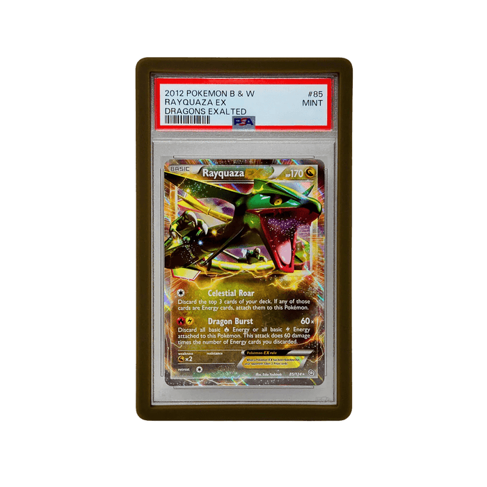 PSA Graded Guards - Dragon Scale (Solid) - EternaCards