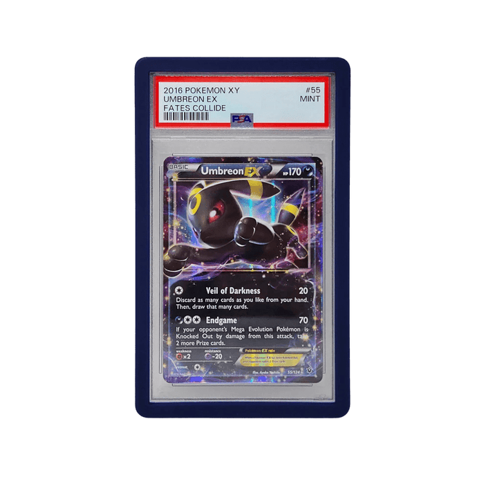 PSA Graded Guards - Dragon Scale (Solid) - EternaCards