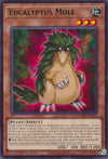 YuGiOh Eucalyptus Mole MZMU-EN021 Maze of Muertos 1st Edition